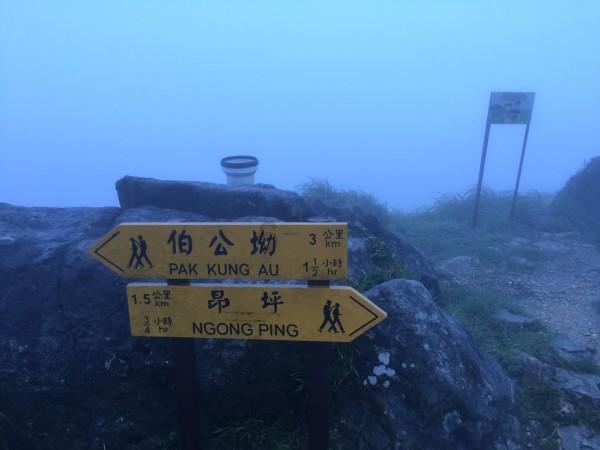 香菇要怎么做好吃？游戏画面